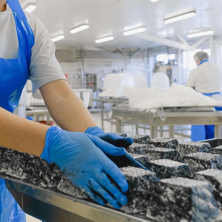 London Pest Control Services From Albany Pest Control Orkin UK