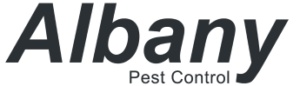 Expert Pest Control UK | Pest and Wildlife Services From Orkin UK